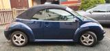 Volkswagen New Beetle 1.6 Cabriolet Standard - Volkswagen New Beetle: Standard