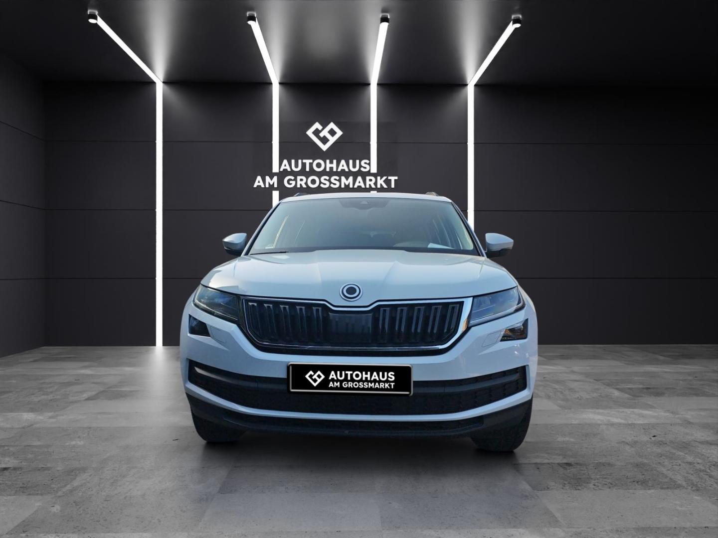Skoda Kodiaq Drive AHK, RFK,Abstandstempomat,Navi,Totw