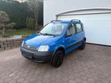 Fiat Panda 1.2 8V Climbing 4X4,8xbereift,Tüv3-26 - Fiat Panda aus 2005: Allradantrieb