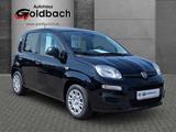 Fiat Panda MY25 1.0*Klima|Tempomat|Bluetooth|PDC* - Fiat Panda Tageszulassungen mit Benzin-Antrieb