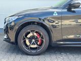 Alfa Romeo Stelvio Quadrifoglio Q4 NAVI KAMERA ALU SITZH - Alfa Romeo Jahreswagen