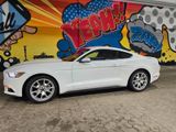 Ford Mustang 2.3 EcoBoost, Sonderdmodell 50 Years Ed. - Ford Mustang: 50