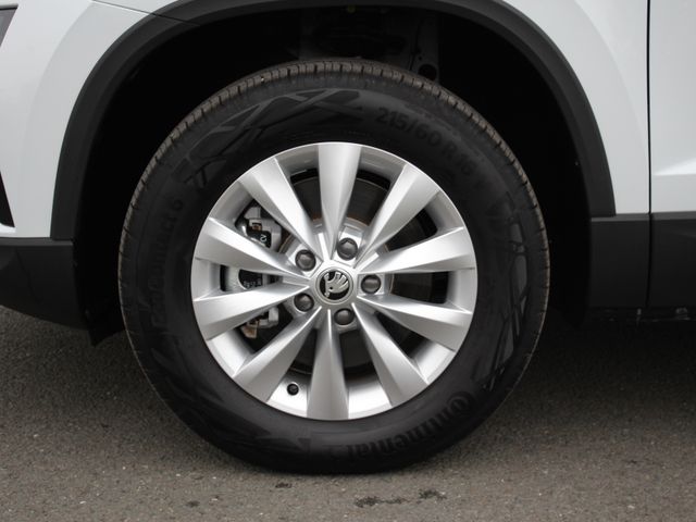 Karoq TDI 4x4 DSG*Kamera*Navi