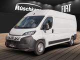 Fiat Ducato Kasten L3H2 Automatik verblecht RückKam A