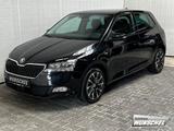 Skoda Fabia 1.0 TSI DRIVE 125 ACC PDC Climatr. SMART - Skoda Fabia DRIVE-125