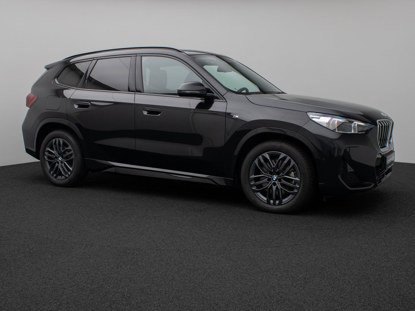 Fahrzeugabbildung BMW X1 xD23d M Sport Panorama Kamera DAB H/K Komfort