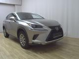 Lexus NX 300 h Leder Navi LED RFK PDC Sh - Lexus aus 2021