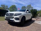 Mercedes-Benz GLE 350 d 4MATIC Motor überholt | AHK | 2. Hand - Mercedes-Benz: Motor