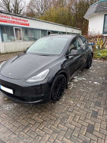 Tesla Model Y Performance Dual Motor AWD Performance