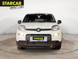 Fiat PANDA 1.0 MILD-HYBRID+TAGESZULASSUNG+KLIMA+EFH+ - Fiat Panda Gebrauchtwagen in Solingen