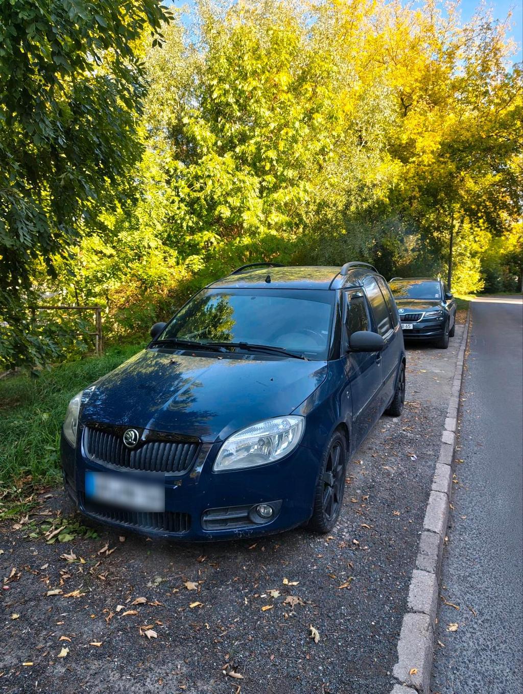 Skoda Praktik 1.4 TDI / LKW Zulassung