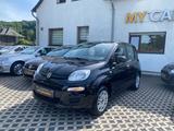 Fiat Panda Easy - gebrauchte Fiat Panda aus dem Jahr 2018