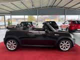 MINI COOPER Cabrio Highgate LEDER SHZ PDC TEMP - MINI MINI: Braun