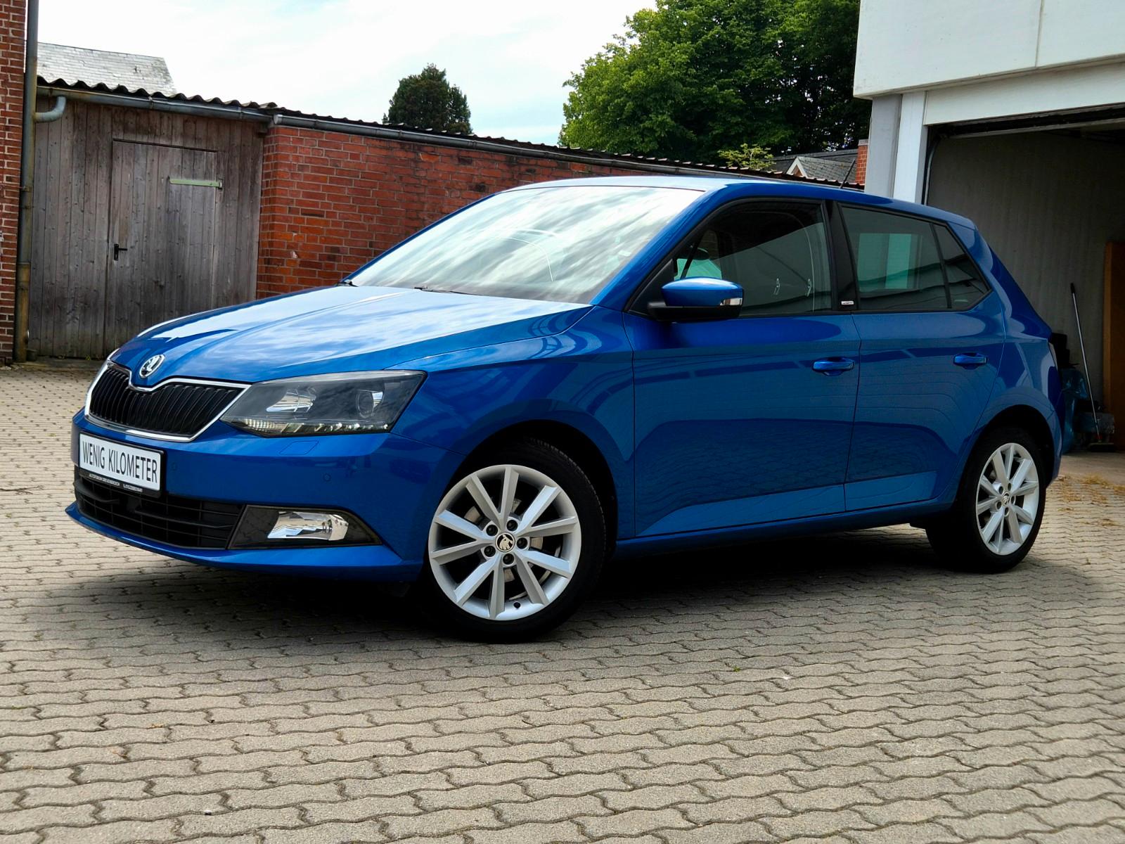 Skoda Fabia Joy