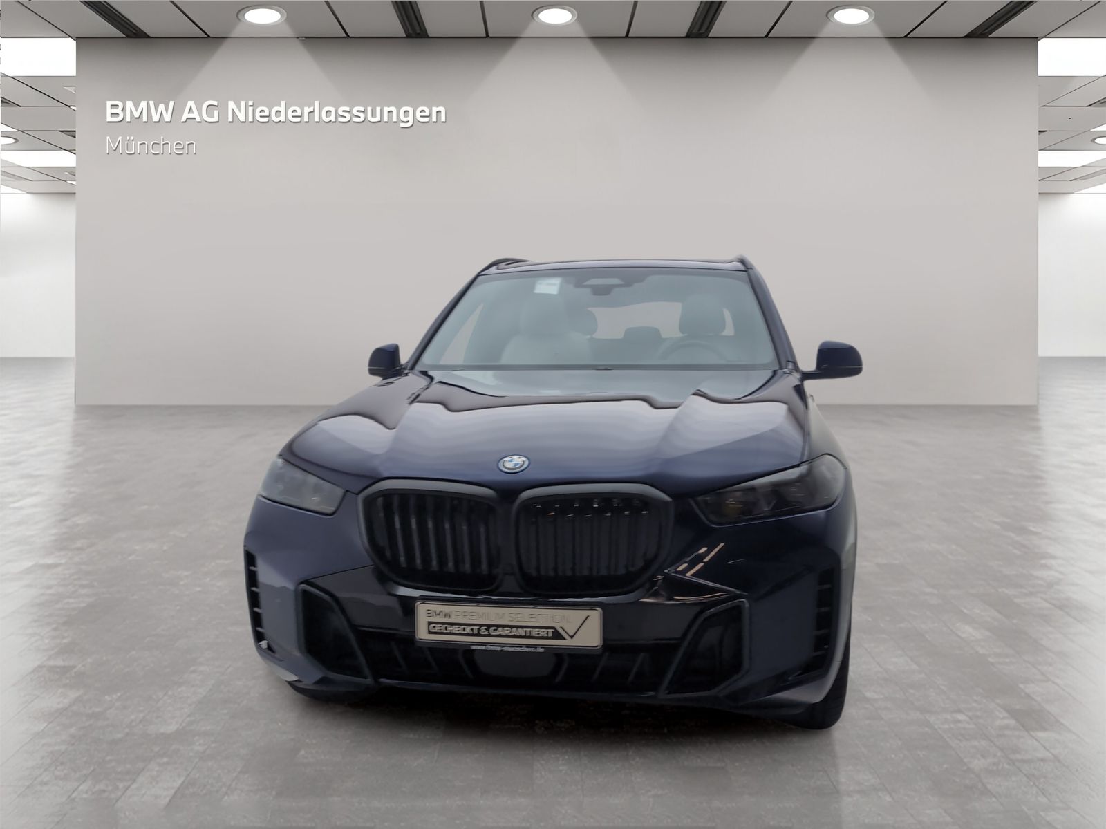 BMW X5 xDrive50e M Sport AHK Driv.Assist.Prof LED foto 5