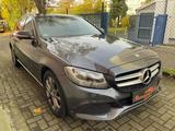 Mercedes-Benz C 220 T BlueTec / d Panno Teilleder, SH!!! - gebrauchte Mercedes-Benz C 220 aus dem Jahr 2014