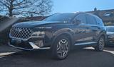 Hyundai Santa Fe Hybrid 4WD Prime | Panorama |