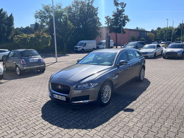 Jaguar XF Sportbrake 8 Reifen, AHK, sehr g...