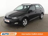 Skoda Fabia 1.0 TSI Style*LIMITER*KLIMA*ALU* - Skoda Fabia Gebrauchtwagen in Frankfurt