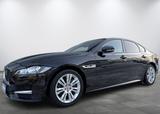 Jaguar XF R-Sport AWD 18"Alu Sound Pano ACC Totw. Apple - Jaguar XF: Schwarz