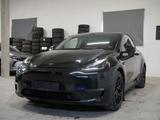 Tesla Model Y Performance Dual AWD WP AMD AUTOPILOT