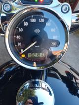 Harley-Davidson Sportster XL 1200 Custom - HARLEY-DAVIDSON XL 1200 C SPORTSTER CUSTOM