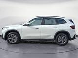 BMW X1 sDrive20i Aut. Navi RFK AHK Kurvenlicht - BMW X1: Geländewagen