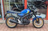 Yamaha XSR125 MY2024 - blau - YAMAHA VON 81 BIS 125 CCM