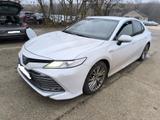 Toyota Camry 2,5-l-VVT-i Hybrid Executive Vip CVT - Toyota Camry: 2.5
