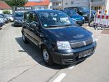 Fiat Panda 1.2 8V MyLive TÜV NEU - Fiat Panda aus 2011: Allradantrieb