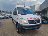 Mercedes-Benz Sprinter II Kasten 316 CDI 4X4 Automatik - Mercedes-Benz Sprinter: 4.4