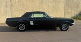 Ford Mustang Cabrio 289 Cubic TÜV 2028 - Ford Mustang aus 1967 mit Benzin-Antrieb: Cabrio