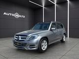 Mercedes-Benz GLK 250 CDI BlueTec 4Matic Pano AHK Navi - Mercedes-Benz mit Diesel-Antrieb: Alcantara
