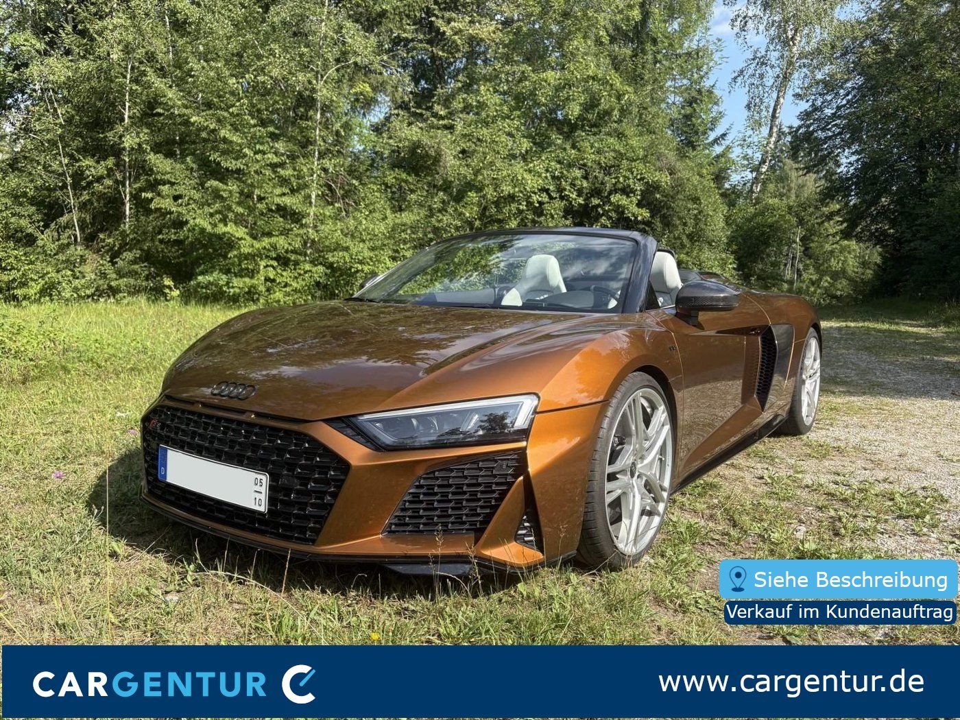 Audi R8 Spyder RWD Performance|Keramik|B&O|Klappe