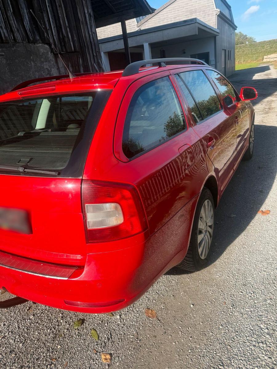 Volkswagen Polo 2010 — photo 8