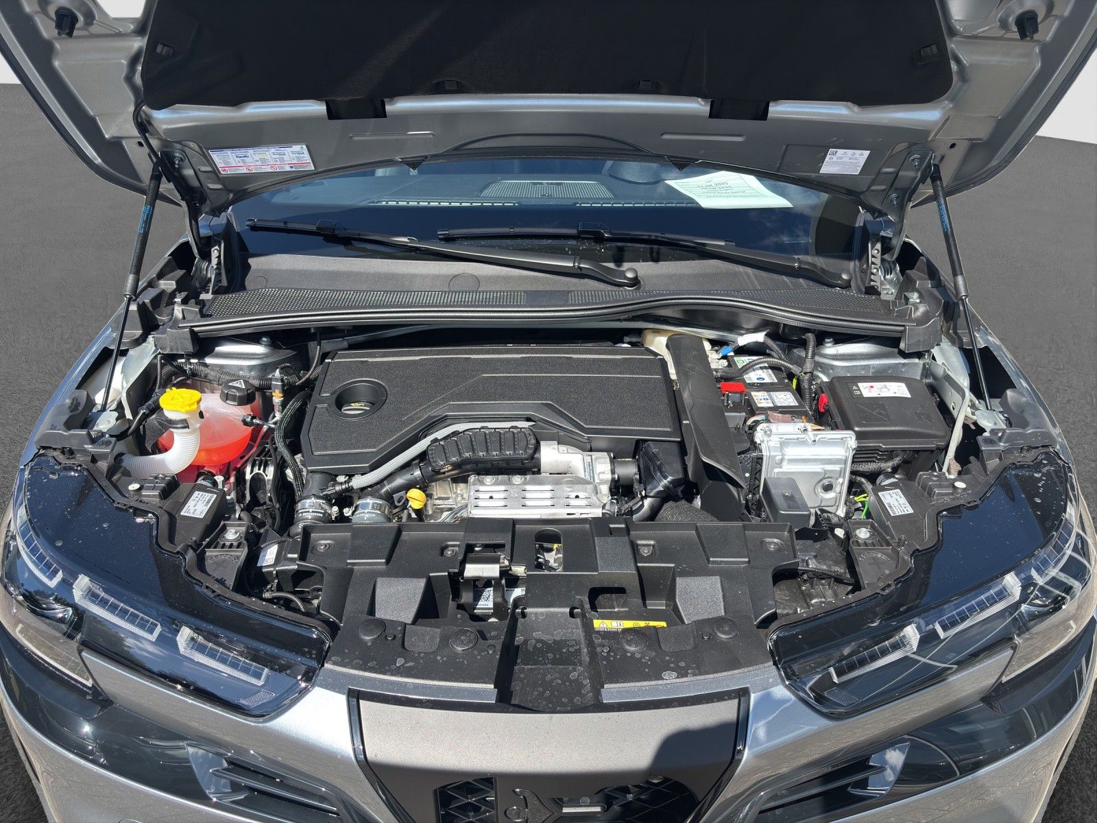 Alfa Romeo Junior - Bild 19