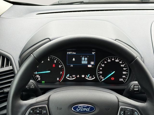 Ford EcoSport Active 1.0 EcoBoost+Kamera+Technik-P+Wi