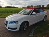 Audi A3 1.8 TFSI Ambition Cabriolet TÜV&Service NEU  - Audi A3 mit Benzin-Antrieb: Leder, Cabrio, 1.8