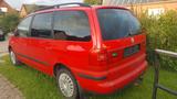 Volkswagen Sharan 1.9TDI Cruise Cruise 7 sitzer - Volkswagen Sharan: Cruise