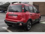 Fiat Panda Pandina Cross 1.0 Klima PDC Temp. DAB - Fiat Panda Pandina mit Benzin-Antrieb