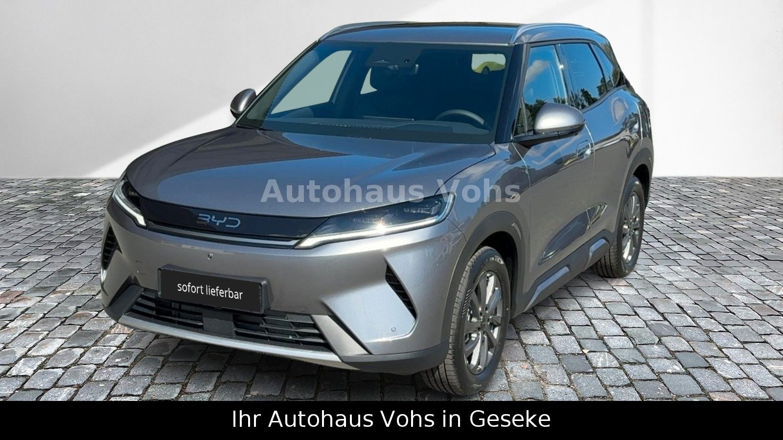 BYD ATTO 2