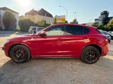 Alfa Romeo Stelvio Quadrifoglio Q4 510 PS - Alfa Romeo: Quadrifoglio