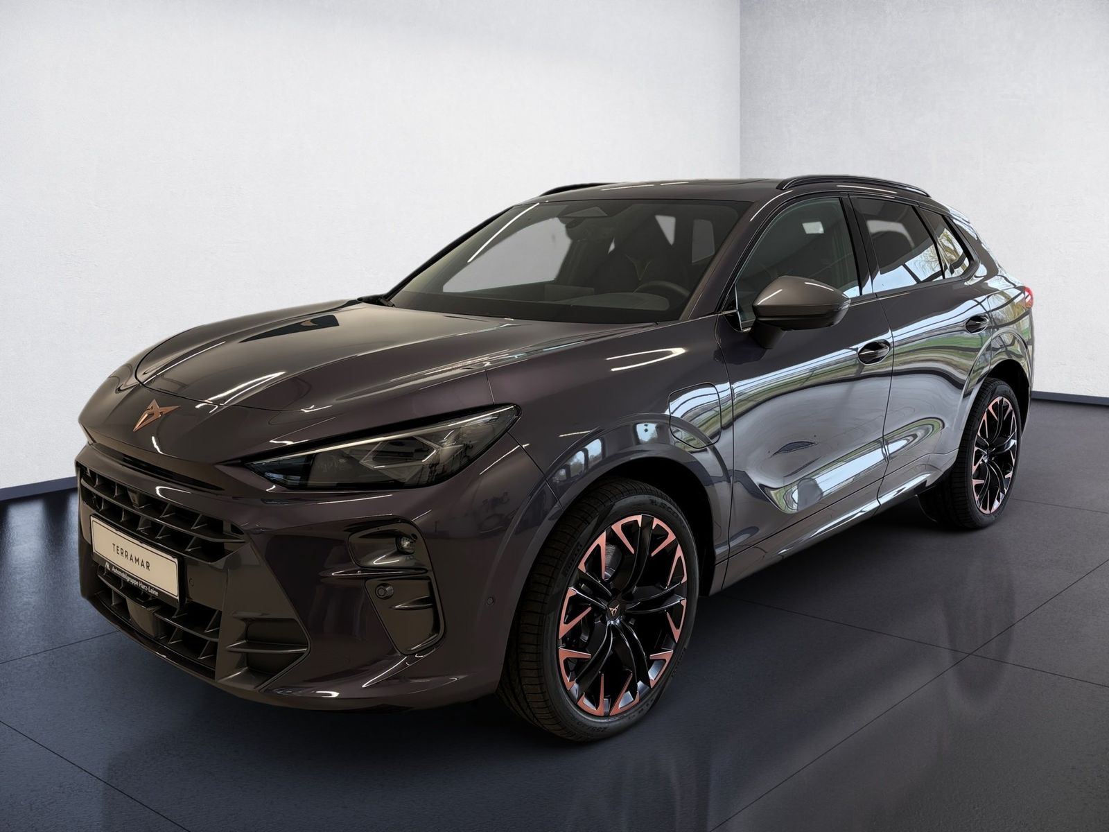 Cupra Terramar 1.5 VZ DSG *ab sofort* imagem 2