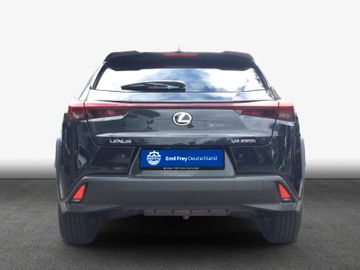 Lexus UX - 6