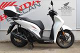 Honda SH125i *neuwertig*SPORT - HONDA N