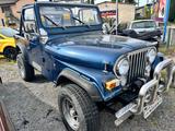 Jeep CJ 7  2,4 Diesel H-Zulassung ,HU neu - Jeep CJ aus 1984