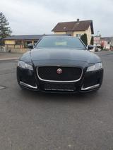 Jaguar XF Pure Allrad *Garantie*Vollausstattung* - Jaguar XF: Automatik