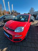 Fiat New Panda 1.2 8V EASY - Fiat New Panda Gebrauchtwagen