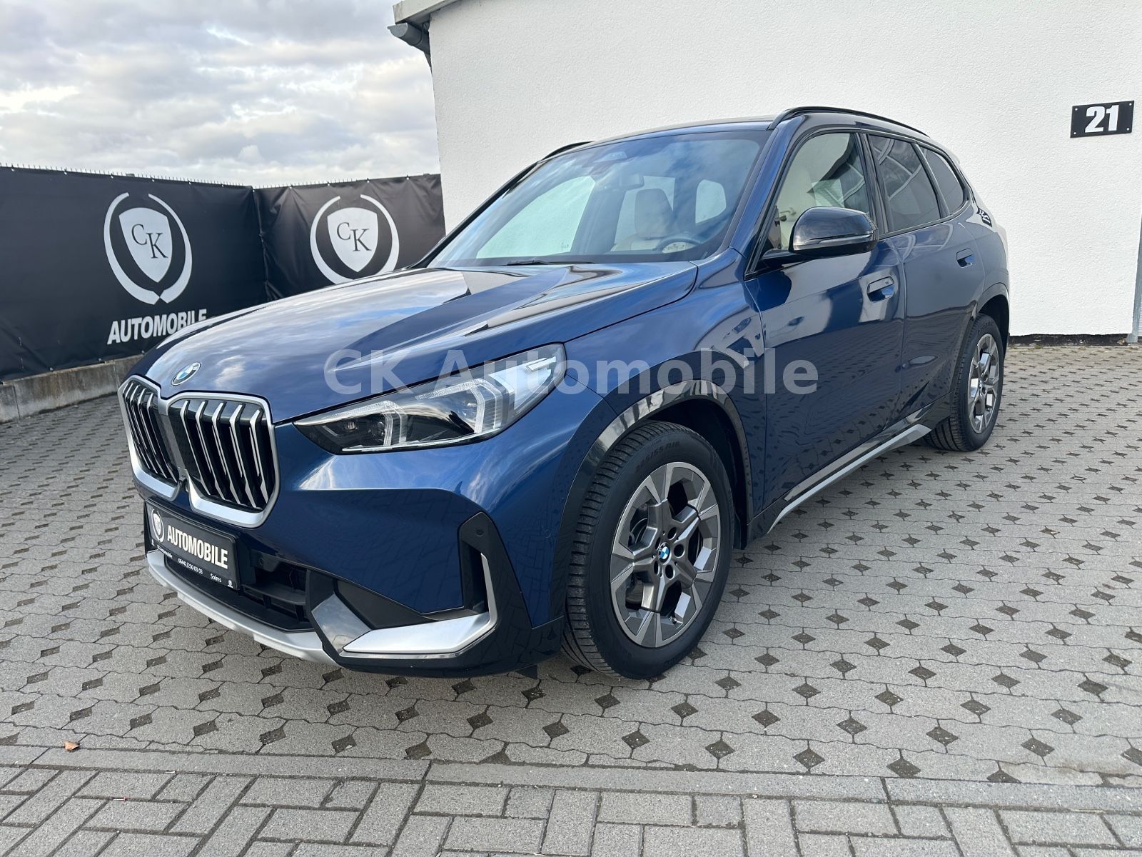 Fahrzeugabbildung BMW X1 20d xDrive xLine/Navi/Head-Up/Pano/LED/360°