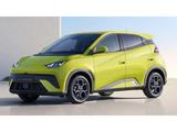 BYD Dolphin Surf Active*30KWh*220KM*Kamera*V2L - BYD DOLPHIN Gebrauchtwagen